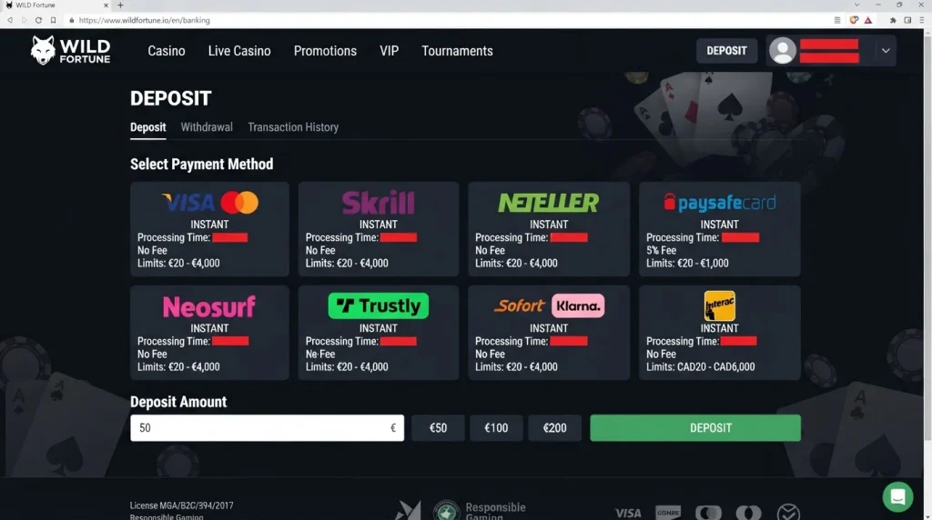 Deposit section of the Wild Fortune banking page
